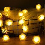 ریسه ال ای دی گل رز فومی