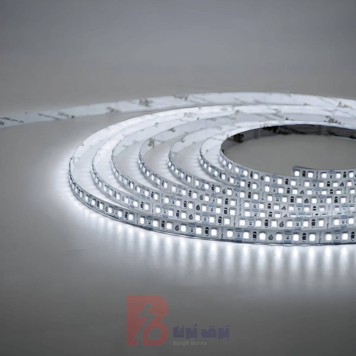 ریسه 12 ولت لوپ لایت تراکم 120 ریسه 12 ولت لوپ لایت تراکم 120