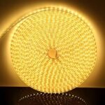 قیمت ریسه شلنگی انبه ای