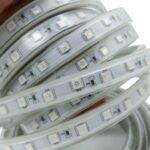 ریسه شلنگی 7 رنگ